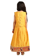 Paithani Baby Girl Lehenga Set – Mango Silk with V-Neck Brocade Blouse & Peacock Zari Border – V Neck Pattern